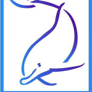 Dolphinwise Mentorship Membership (Pay in Full Option)