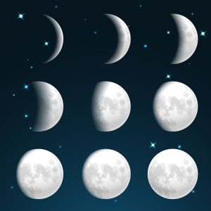 Moon Cycle Remedy Kit